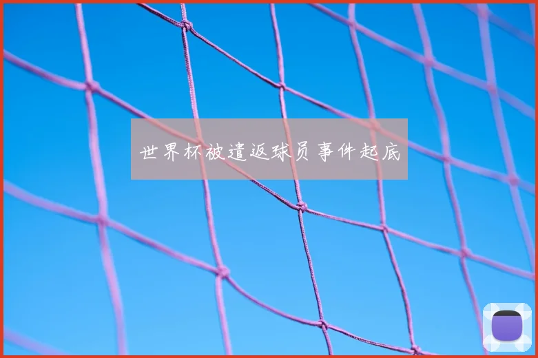 世界杯被遣返球员事件起底