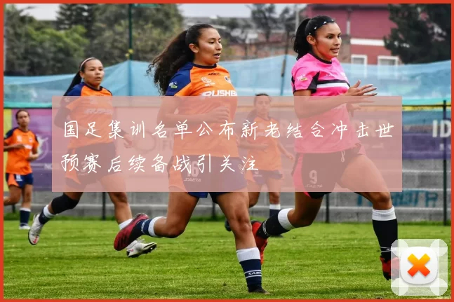 国足集训名单公布新老结合冲击世预赛后续备战引关注