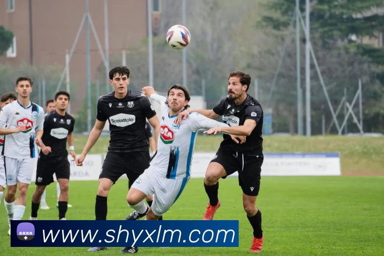 首页- 竞技宝 - 竞技宝网站DOTA2,LOL,CSGO电竞及体育赛事竞猜平台生态图